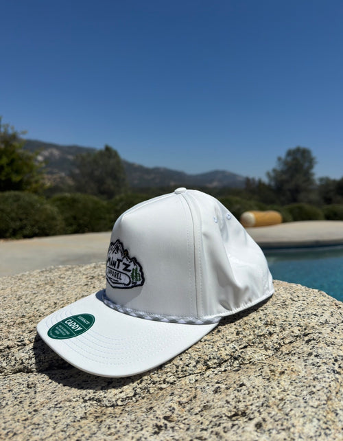 Mintz apparel hat