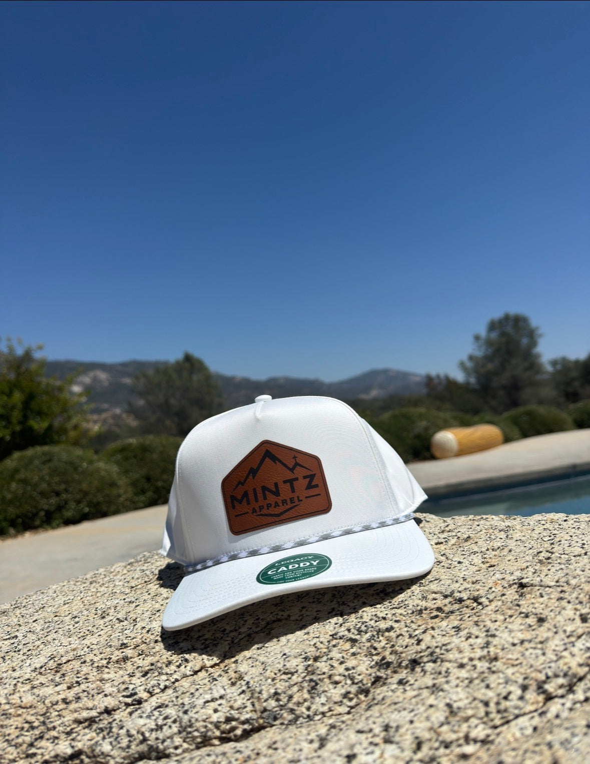 Mintz apparel hat